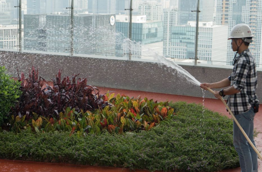 如何應(yīng)對(duì)氣候變化、保護(hù)海洋、土地及水源