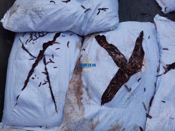 案例|某公司海關產品銷毀